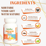Thumbnail for Rajasthan Herbals Junt Acid Tablets