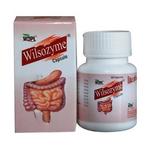 Thumbnail for Wilson Wilsozyme Capsule - Distacart