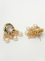 Thumbnail for NVR2319 (6)