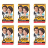Bigen Powder Hair Color Dark Brown N30 - Distacart