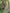 Astita Cotton Dark Green Saree