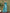 Astita Cotton Sea Green Saree