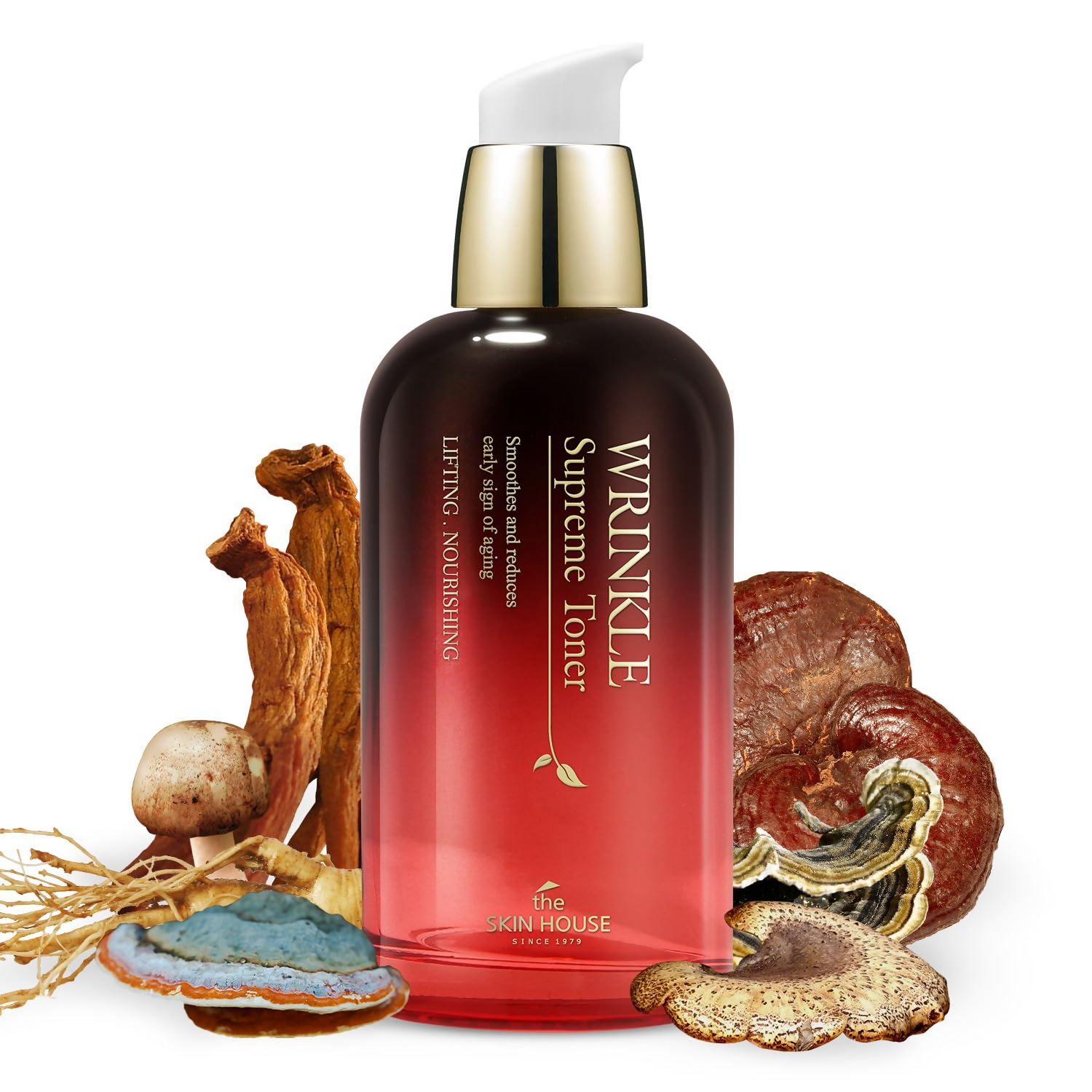 download - 2024-11-19T140857.748