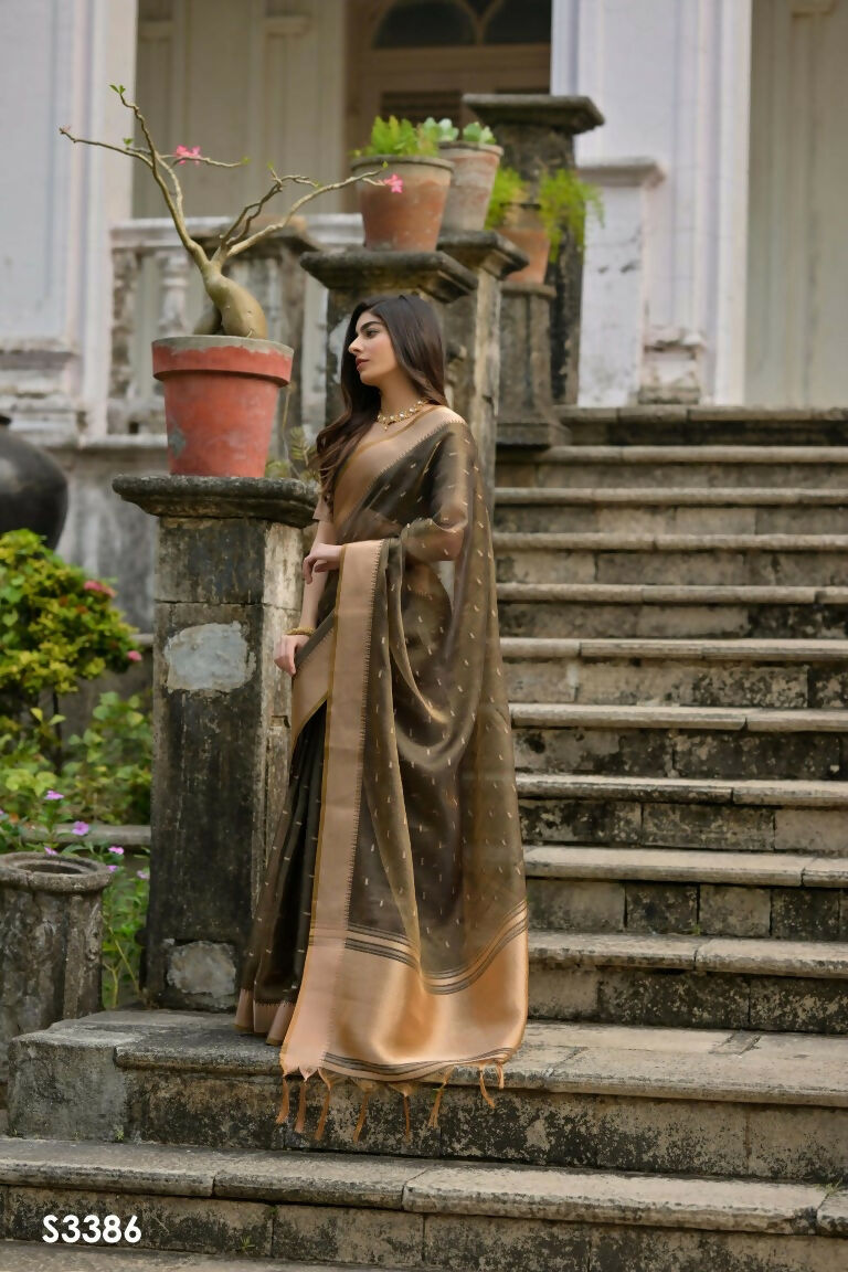 s3386-01_54318291393_o