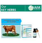 Thumbnail for Iafa Nasa Yoga Grutham