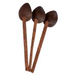Thumbnail for Thenga Coconut Shell Large Cooking Spoon Sets - Dista