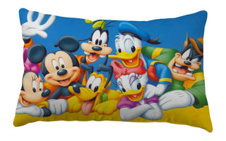 Unique Fashion Microfibre Filled Cushion For Kids - Club House 2 - Distacart