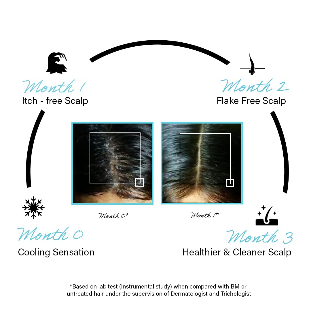 download - 2024-10-11T132631.741