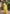 Lemon Green Pure Silk Woven Design Saree with Unstitched Blouse - A2M