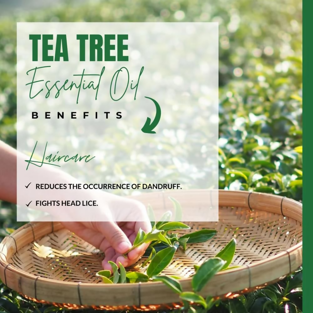 download - 2024-10-21T172021.590