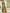 Astita Silk Green Saree