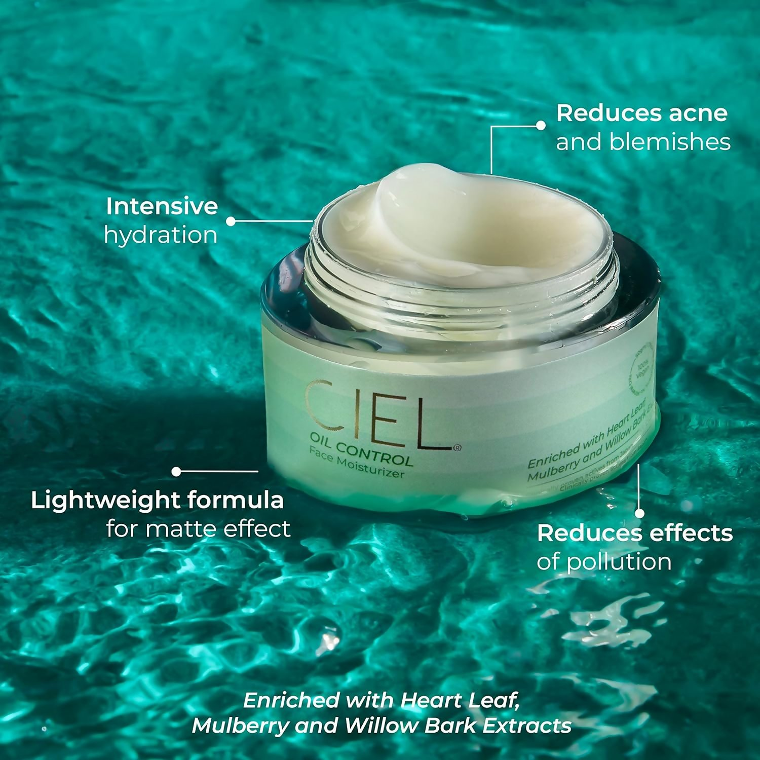 download - 2024-10-16T171208.248