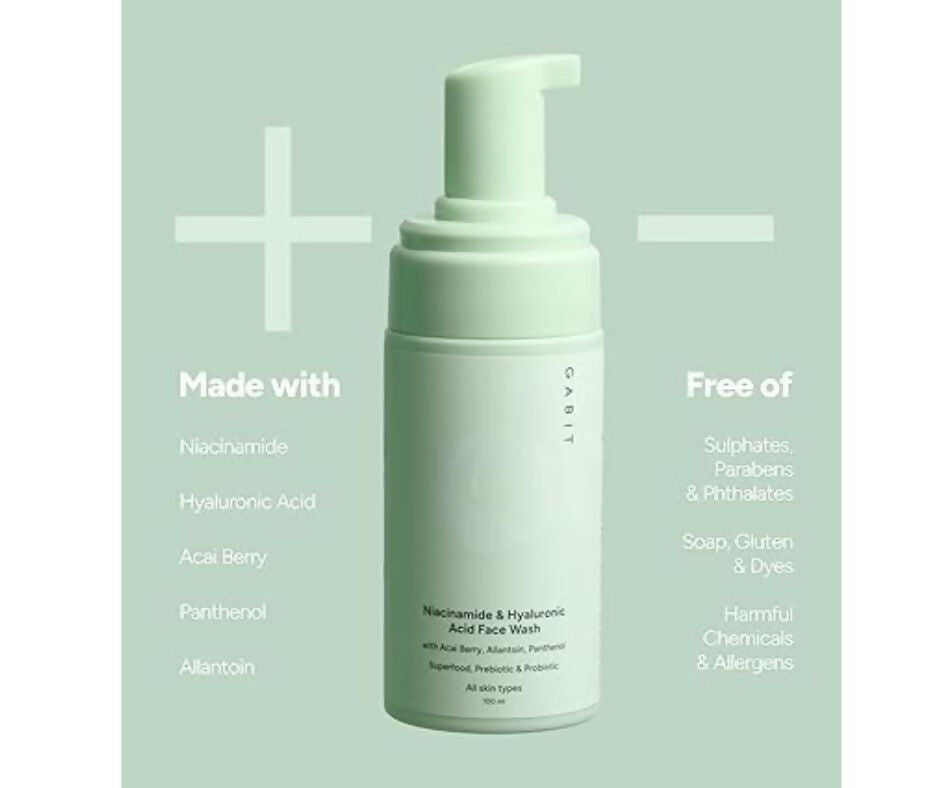 Gabit Niacinamide & Hyaluronic Acid Foaming Face Wash - Distacart