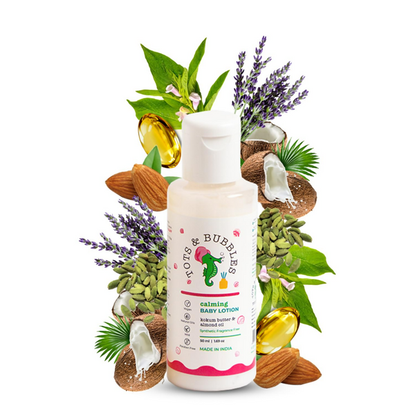 download - 2024-11-19T125002.773