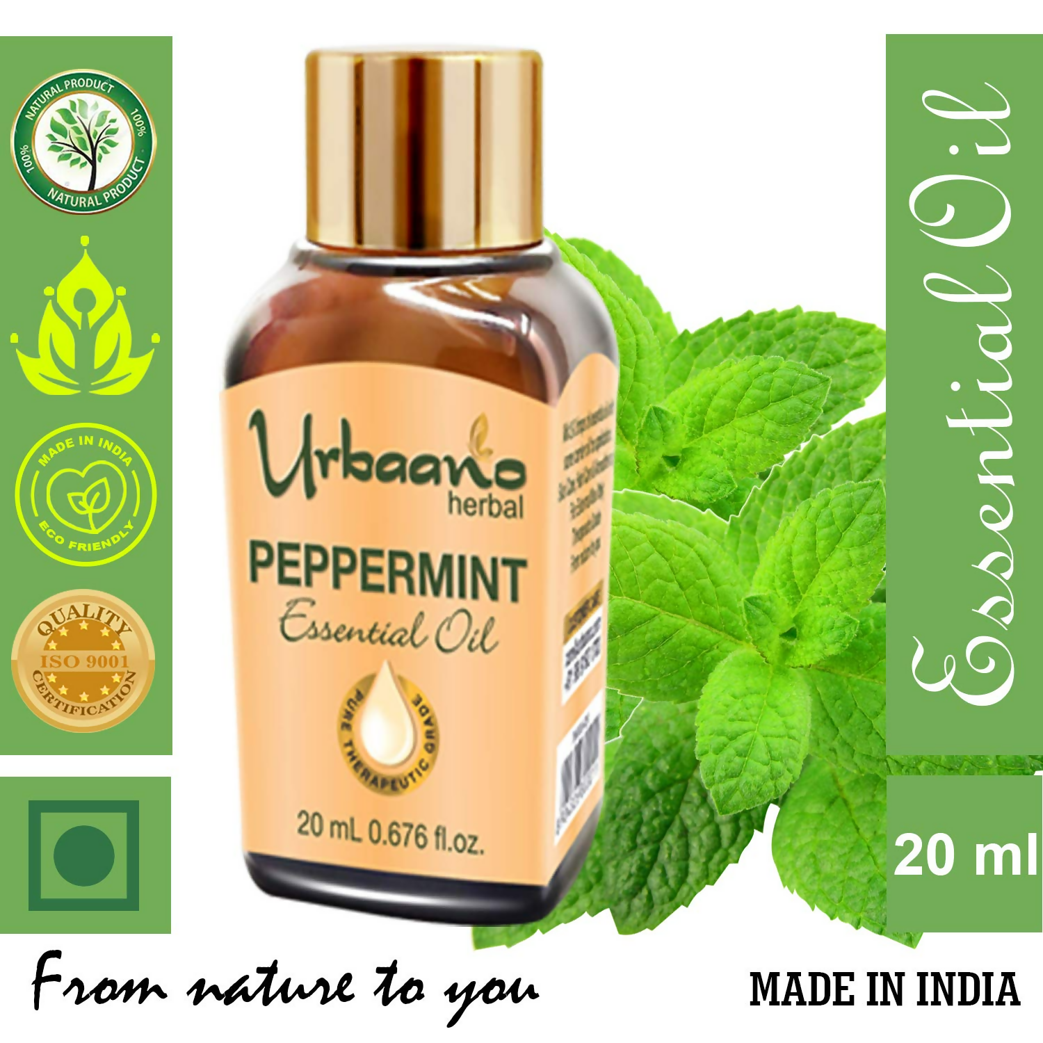 download - 2025-05-06T113421.872