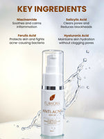 Thumbnail for Flawora Set of D-Tan Lotion for Pigmentation, Tan Removal, Anti Acne Serum to reduce Blackheads and Open Pores, Anti-Grey Hair Serum for Reversing Grey Hair and Golden Glow Face Serum for Brightening, Anti-Aging - Dista