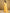 Joban Fashion Chiffon Light Yellow & White Printed Saree