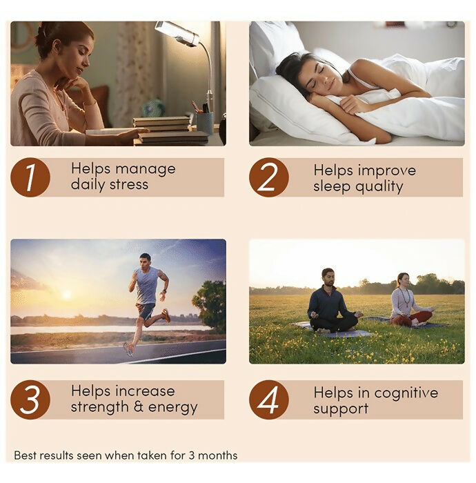 Zingavita Ayurveda Sustained Release Ashwagandha 300mg Capsules - Distacart