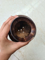 Thumbnail for Thenga Handmade Coconut Shell Planter Pot with Cork Tray - Dista