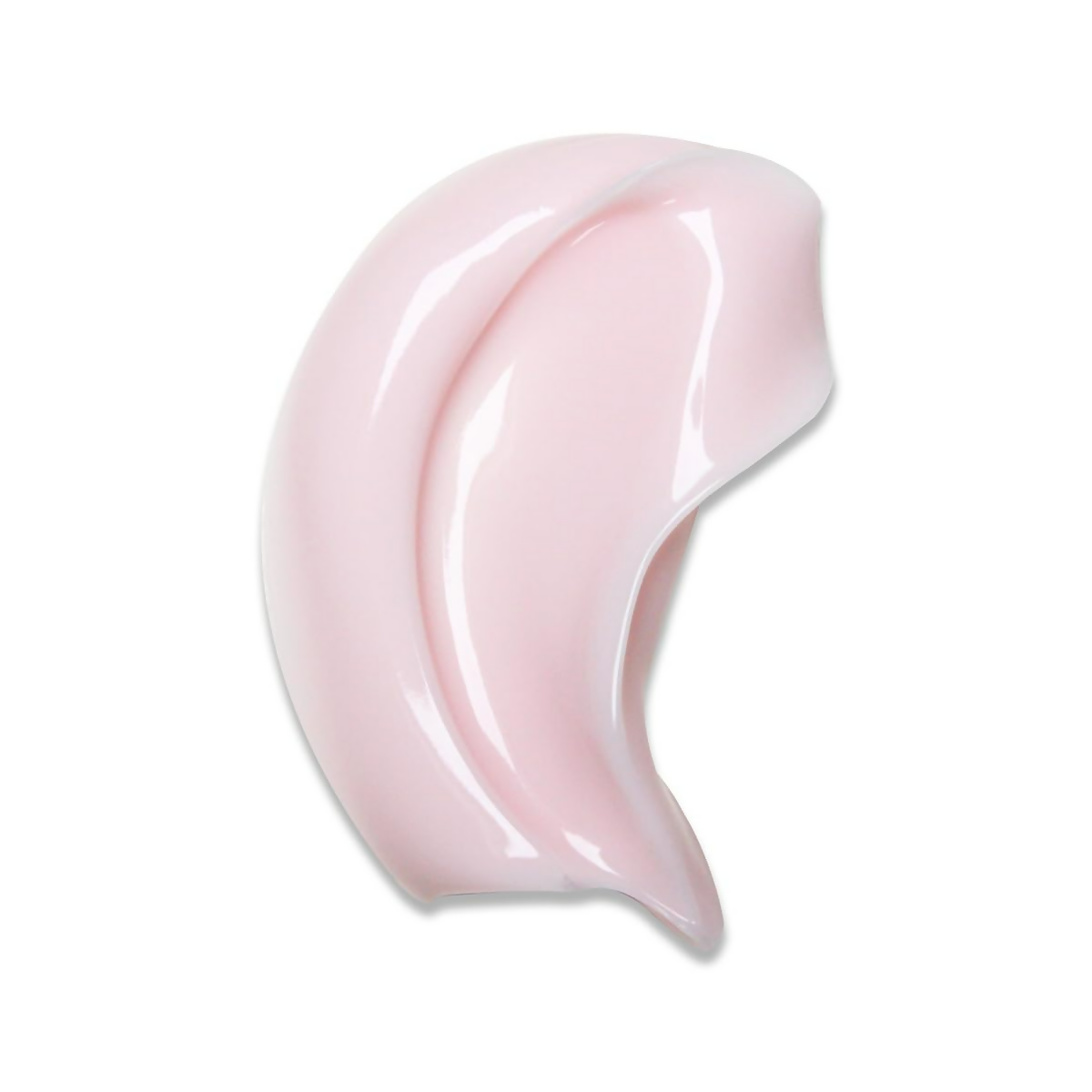 download - 2025-01-21T184231.928