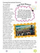 download - 2025-03-04T175257.533