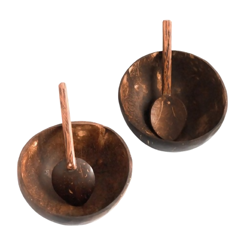 Thenga Artisan Mini Coconut Shell Bowl with Spoon - Dista