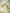 Nuyug 22K Gold-Plated Kundan Studded & Pearl Beaded Layered Chandbalis