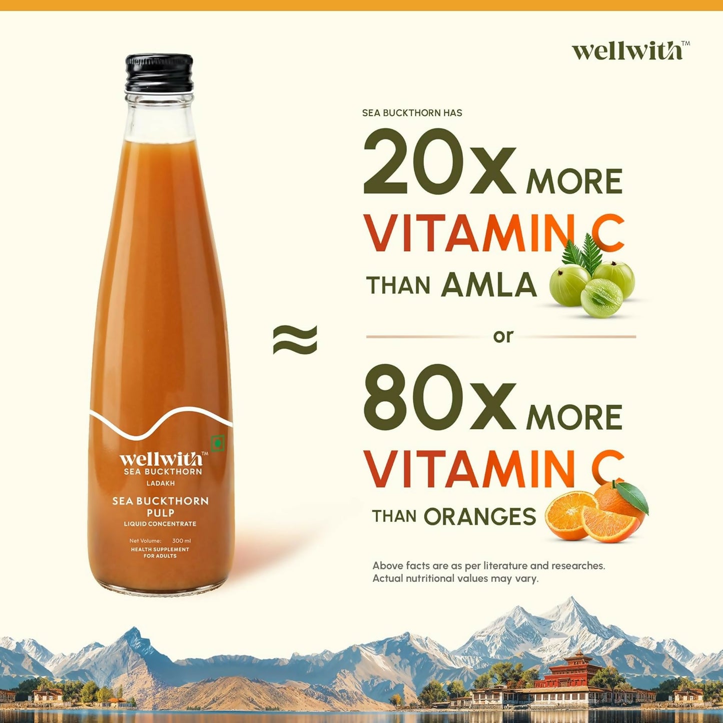 Wellwith Himalayan Sea Buckthorn Pulp - Distacart