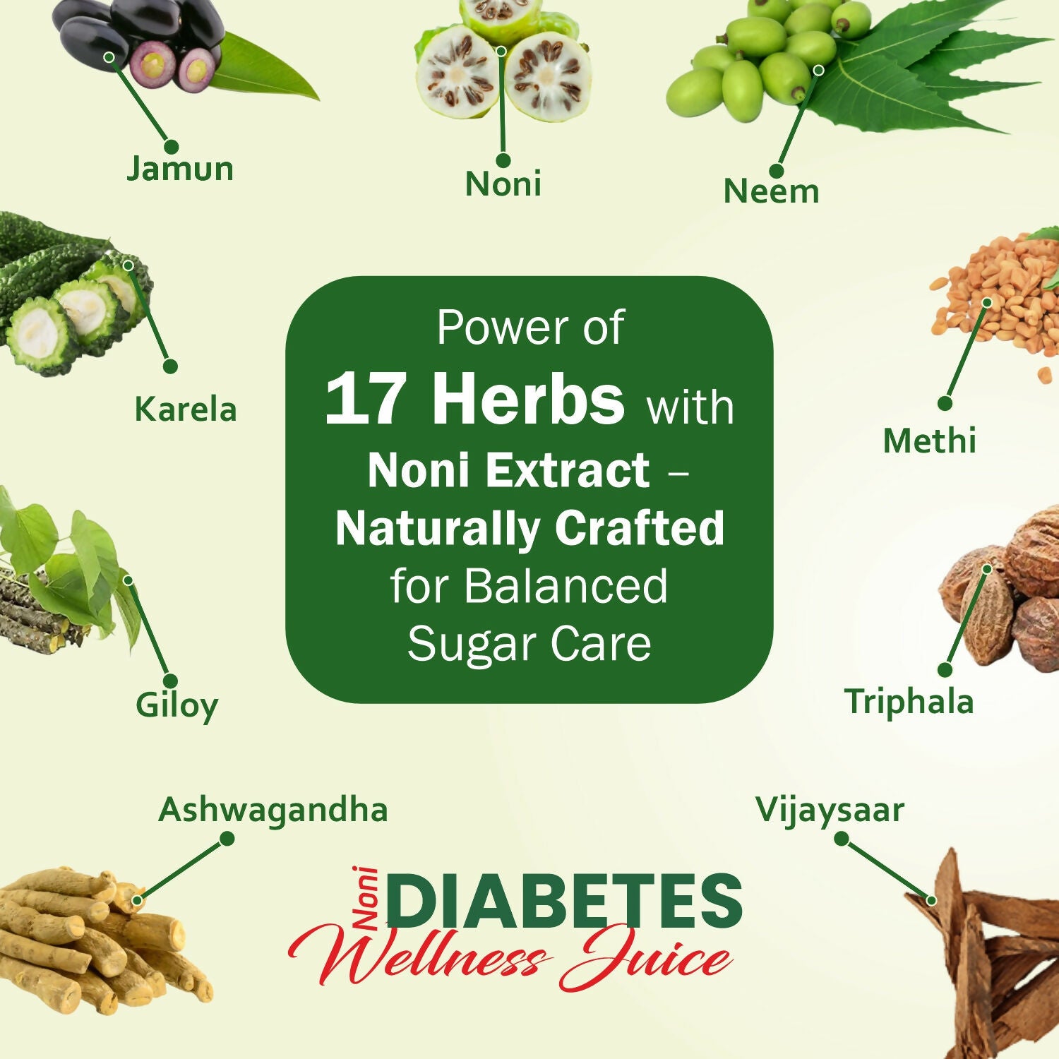 Noni Diabetes Wellness Juice_Market Place_3