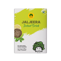 Gulabs Instant Jaljeera