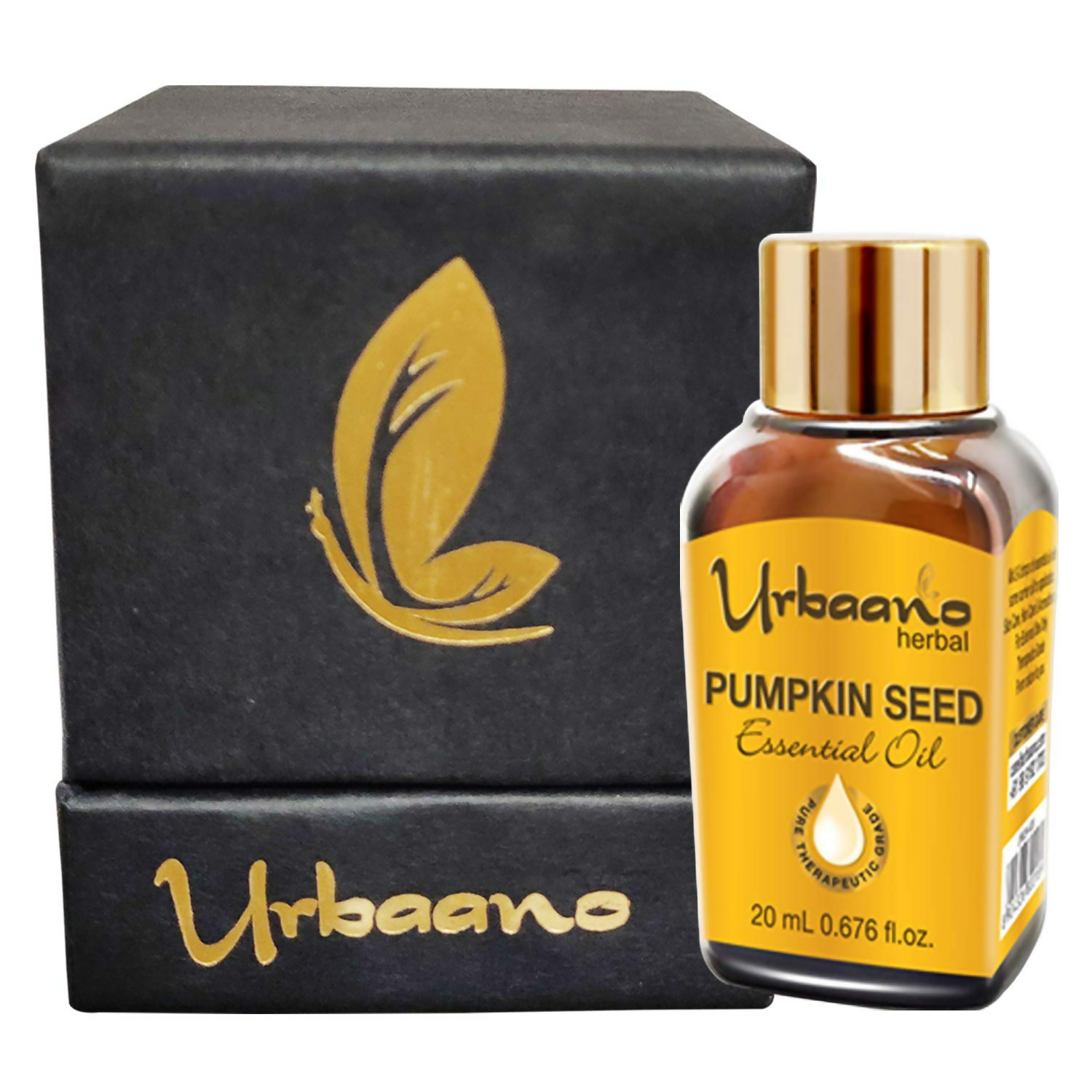 download - 2025-05-07T111329.695