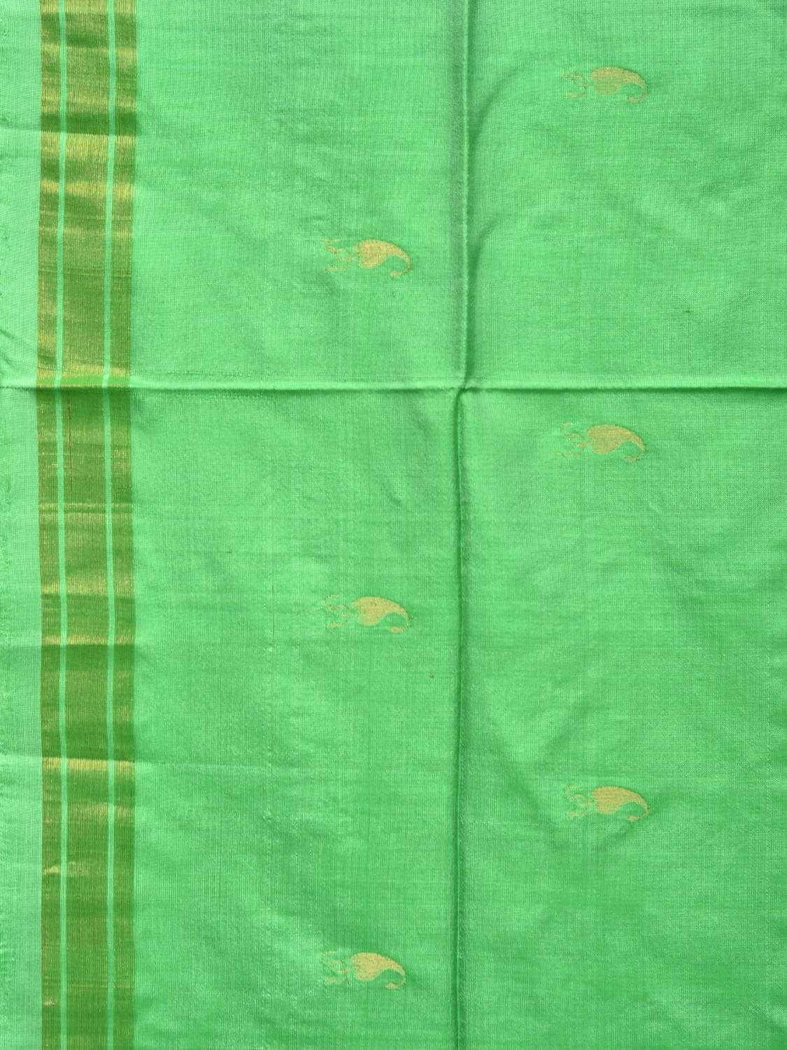 Light Green Uppada Silk Handloom Saree with Karpur Pallu Design - Global Threads - Distacart