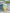 Yufta Lime Green & Sky Blue Co Ord Set Add Jacket