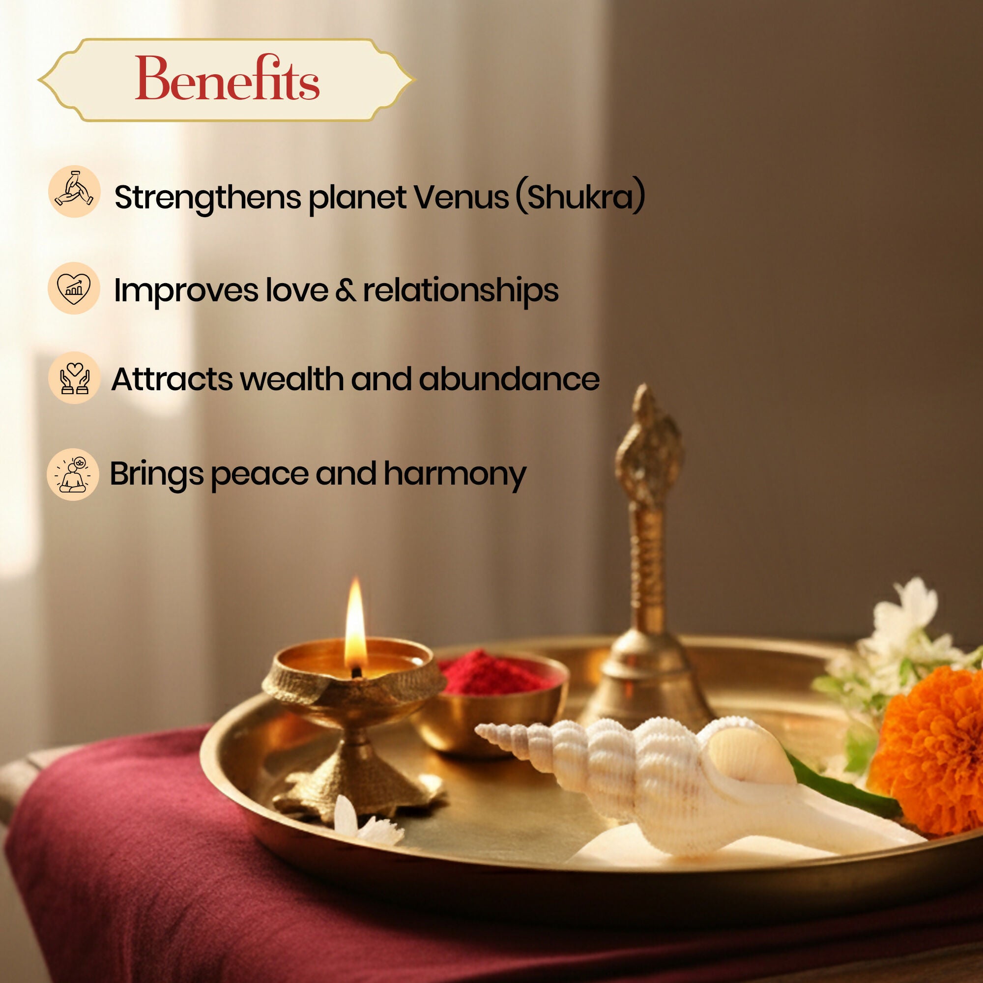 Pujashree Shukra Shankh – Venus Graha Conch For Prosperity & Harmony - Dista