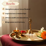 Thumbnail for Pujashree Shukra Shankh – Venus Graha Conch For Prosperity & Harmony - Dista