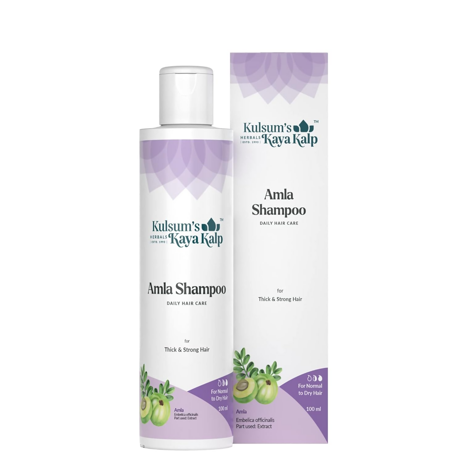 download - 2024-09-30T161500.079