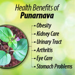 Thumbnail for Ayurvedic Life Punarnava Powder