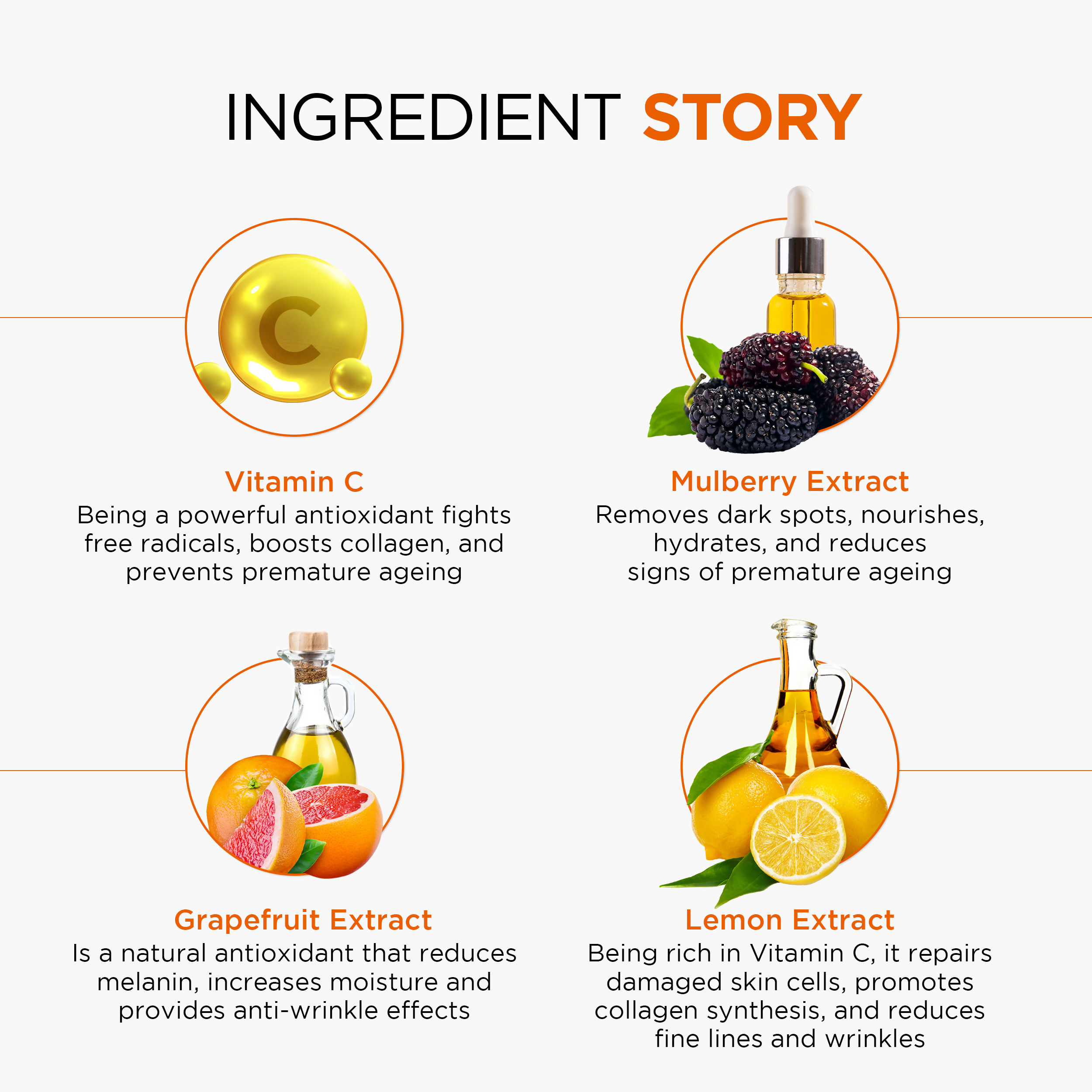 9240a1c8906036219244_4