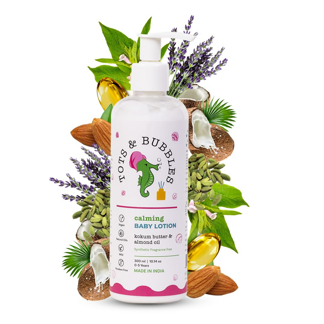 download - 2024-11-19T125046.571