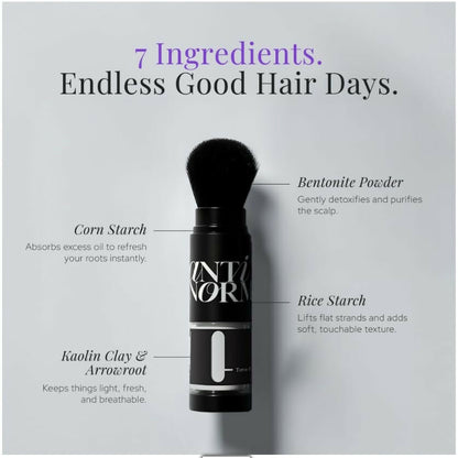Antinorm Dry Shampoo + Refill Combo - Distacart
