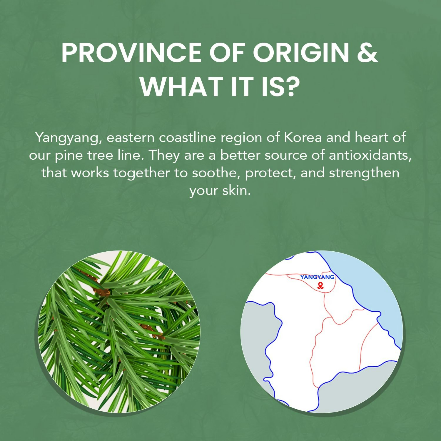 Professional O3+ Mijoo Korea Glass Glow Facial Kit