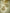 Nuyug 22K Gold-Plated Elegant Kundan Stone Studded & Pearl Beaded Chandbalis