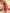 Divine Drape Women's Viscose Embroidered Straight Kurta Pant With Dupatta - Red