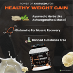 Thumbnail for Patanjali Nutrela Sports Mass Gainer (Frvan-ice)