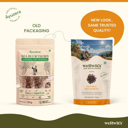 Wellwith Sea Buckthorn Dry Berry - Distacart