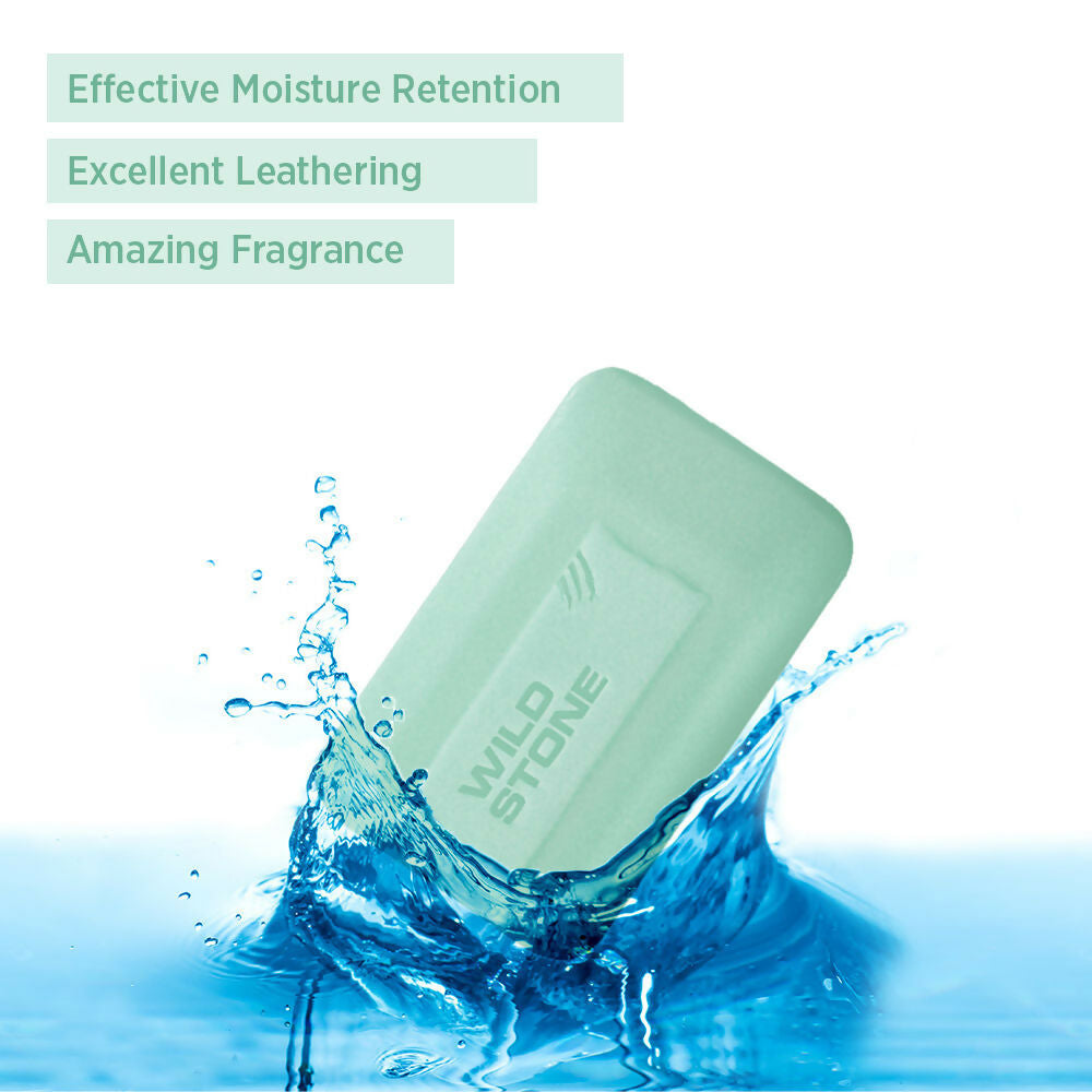 Wild Stone Forest Spice Deodorant Soap - Distacart