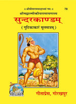 Thumbnail for Srimad Valmiki Ramayana Sunderkand by