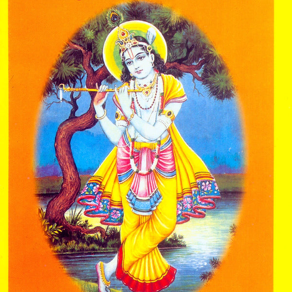 Sankshipt Krishna Leela (Hindi)