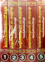 Thumbnail for Bhagavat Sridhari Teeka (5 Volumes)