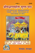 Thumbnail for Shrimad Bhagavad Gita – Sugam Paath - Dista